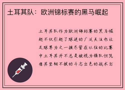 土耳其队：欧洲锦标赛的黑马崛起